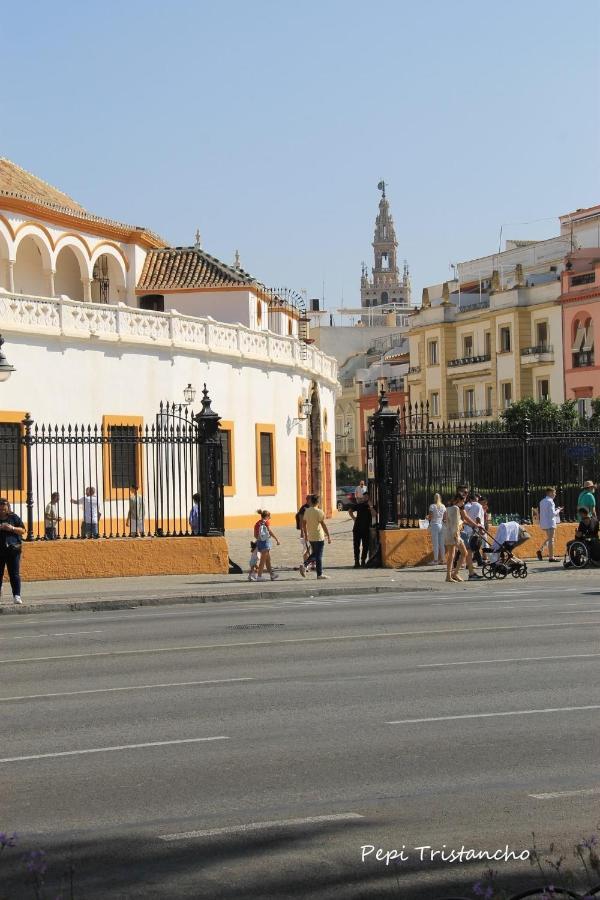 Suites Las Setas & Bicicletas Electricas Gratis Sevilla Exteriör bild